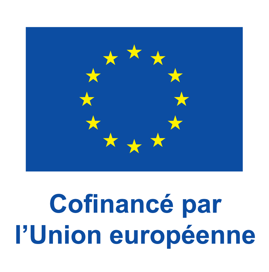 Co-funded by the European Union